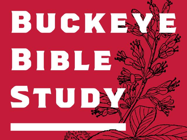 Buckeye Bible Study Logo