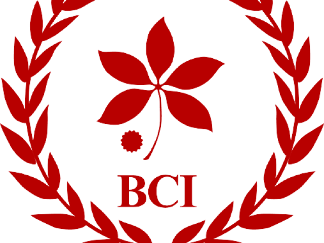 Buckeye Capital Investors Logo