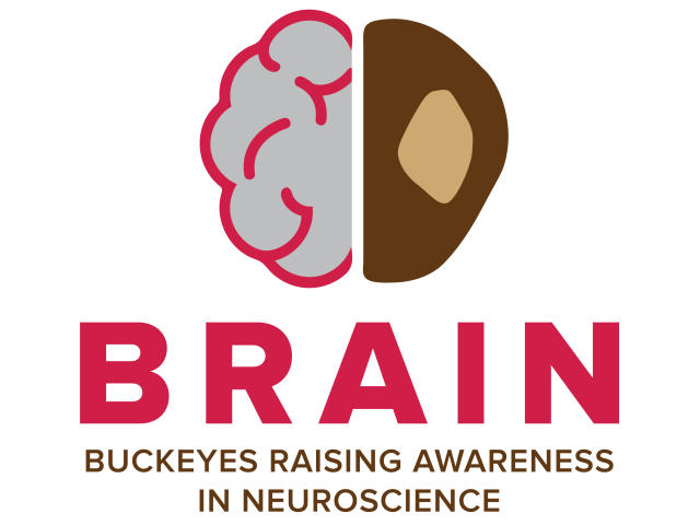 Buckeyes Raising Awareness in Neuroscience Logo
