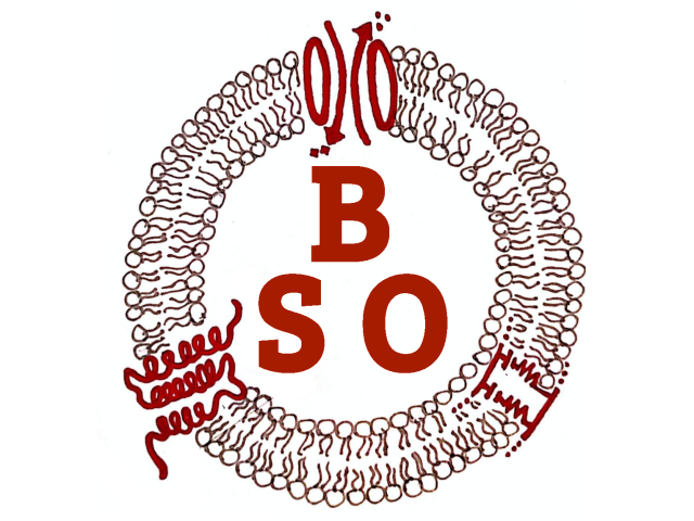 Biophysics Student Organization Logo