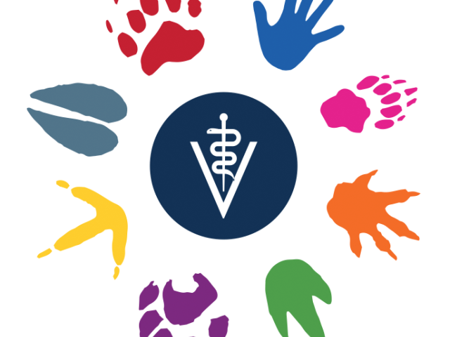 Veterinarians as One Inclusive Community for Empowerment Logo
