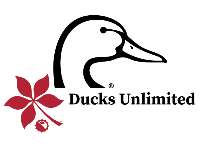 Ducks Unlimited at The Ohio State University logo
