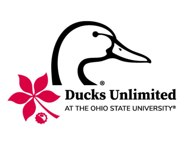 Ducks Unlimited at The Ohio State University logo