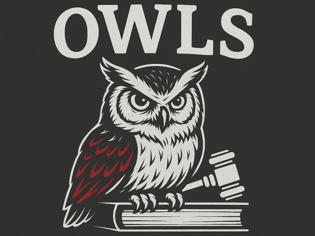 Older Wiser Law Students Logo