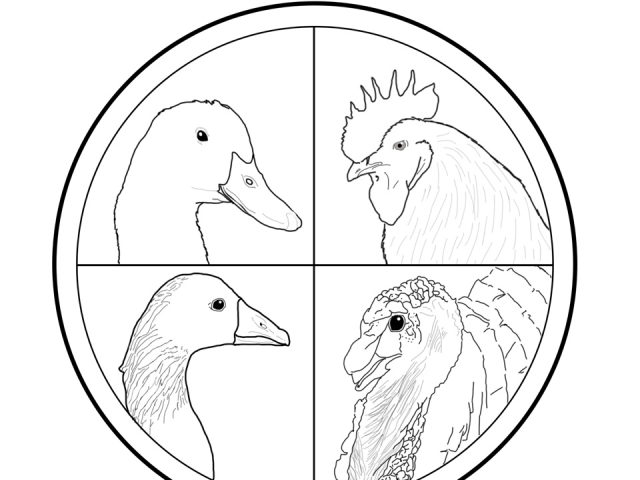 Poultry Science Club Logo