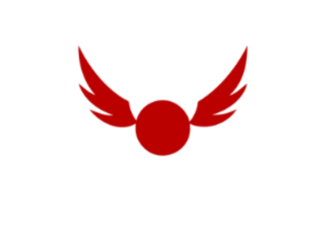 Quadball at Ohio State Logo