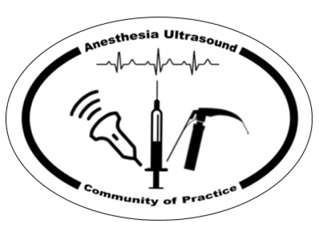 Anesthesiology Ultrasound Community of Practice Interest Group Logo