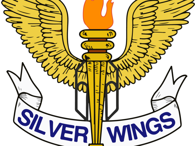 Silver Wings - Colonel Francis J. McGouldrick Chapter Logo