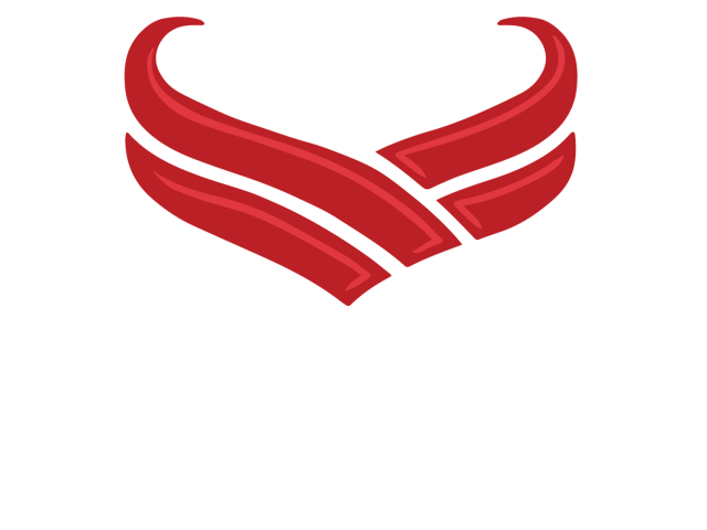 Undergraduate Finance Association Logo