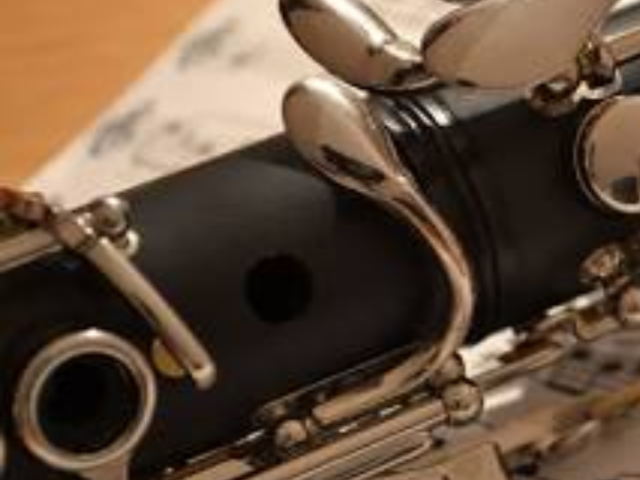 The Buckeye Reading Band logo