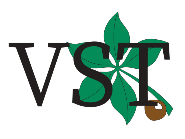 Varsity Sales Team logo